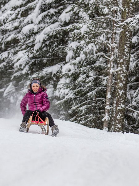 Tobogganing